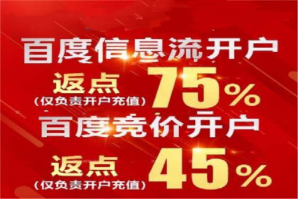 搜索开户返点案例解析：揭秘赚钱秘诀